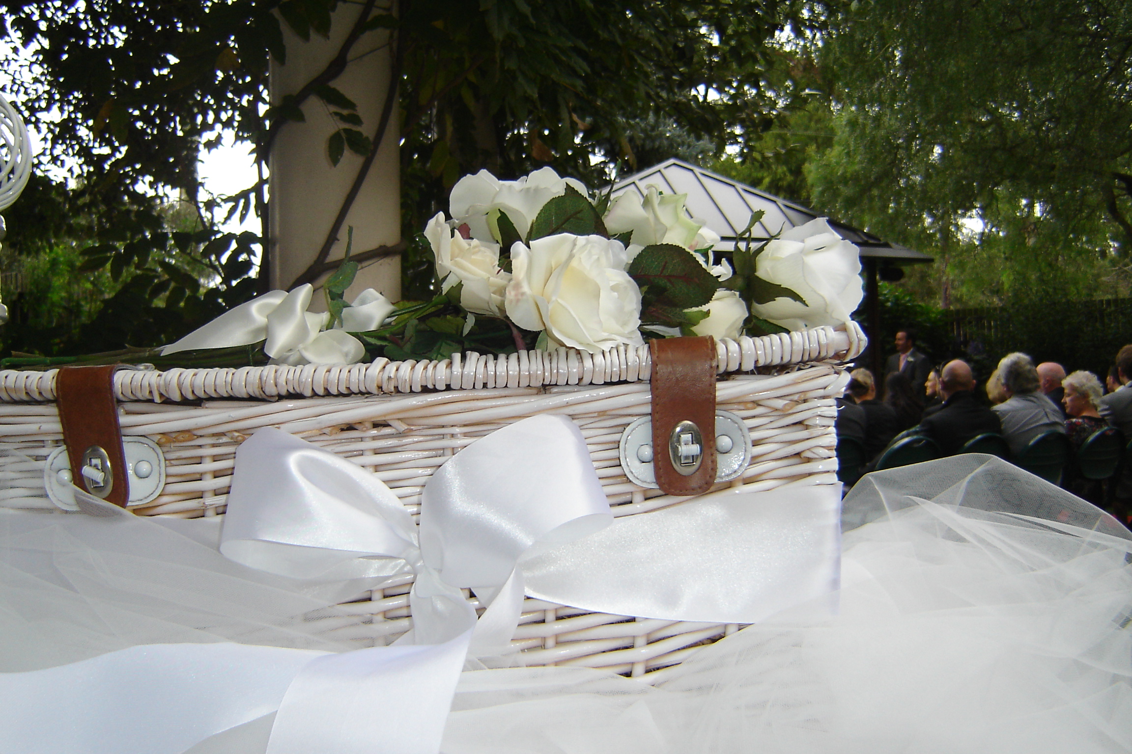 DSC03035 DSC03035